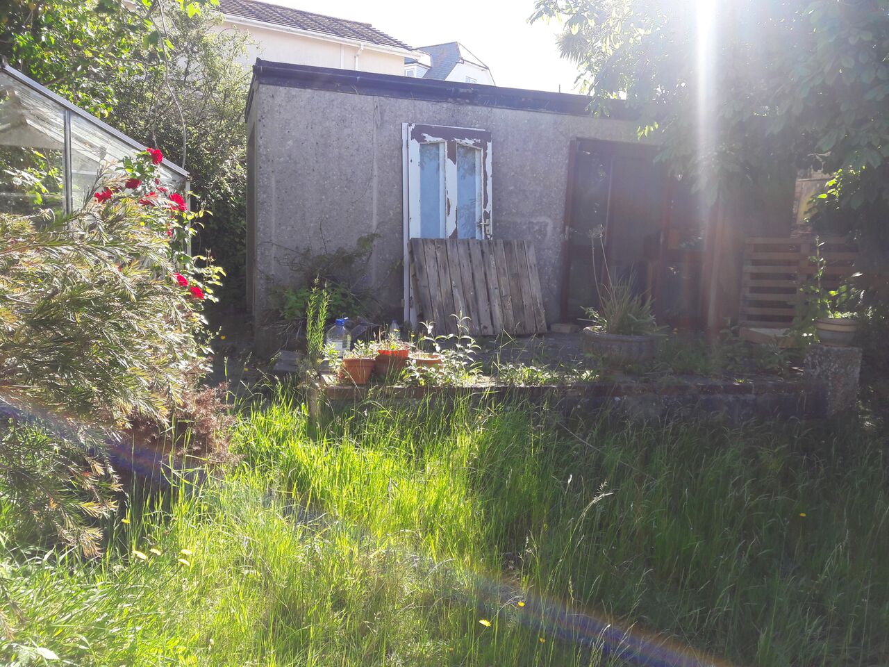 shed5