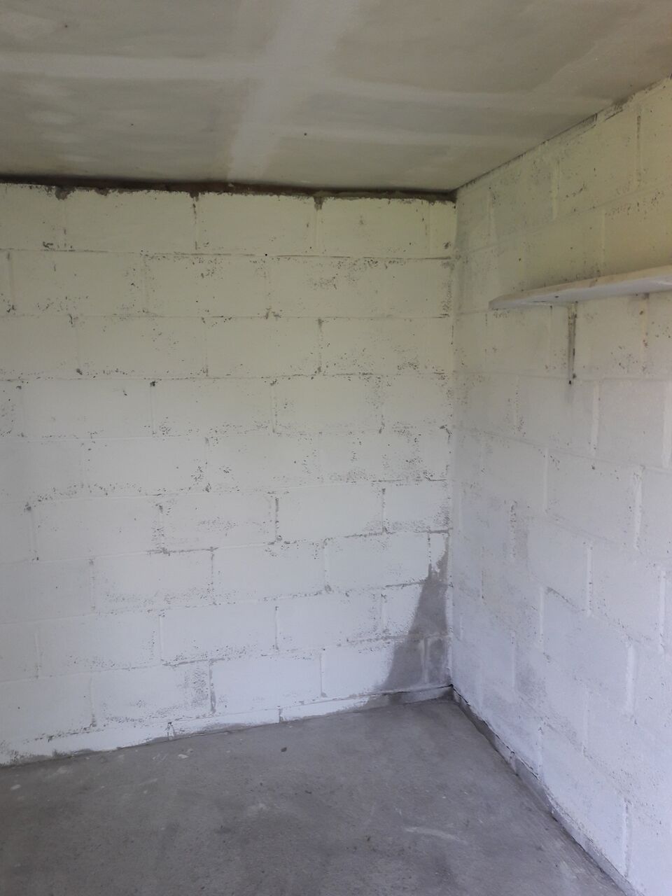 shed6