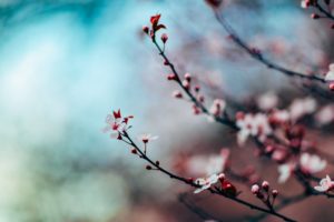 Photography and Poetry Retreat